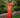 Vestido Allegria